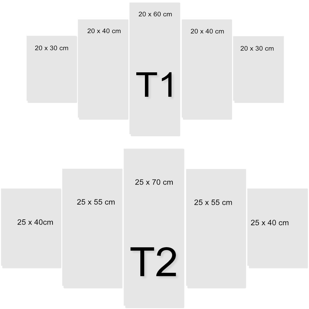 Tableau sur Toile 5 éléments